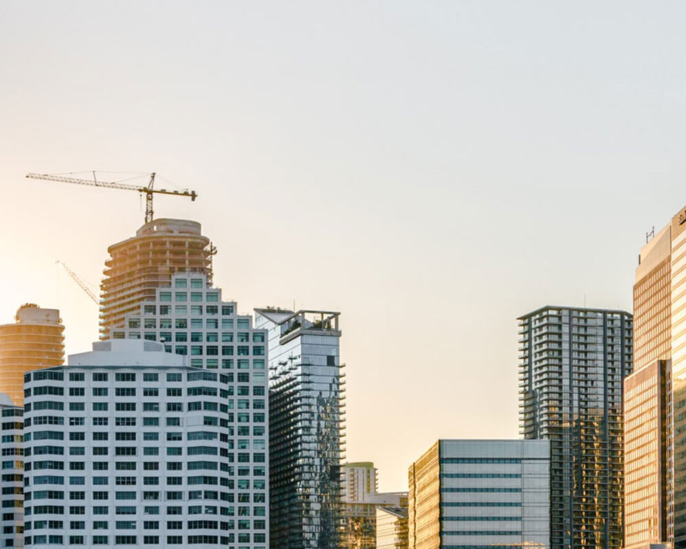 مهندس المشروع