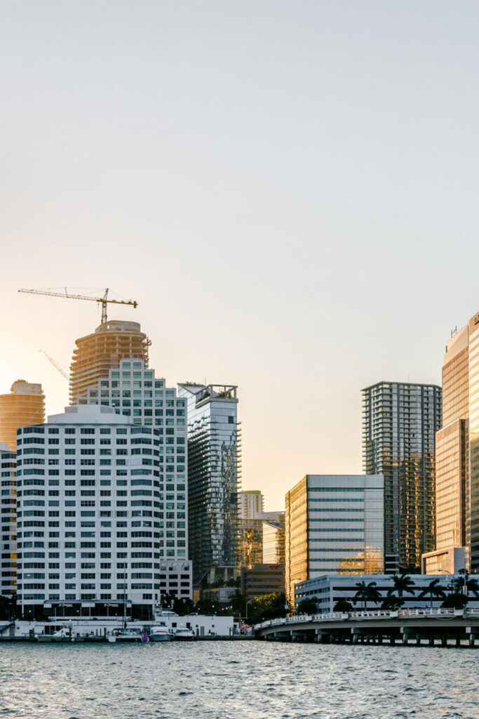 مهندس المشروع